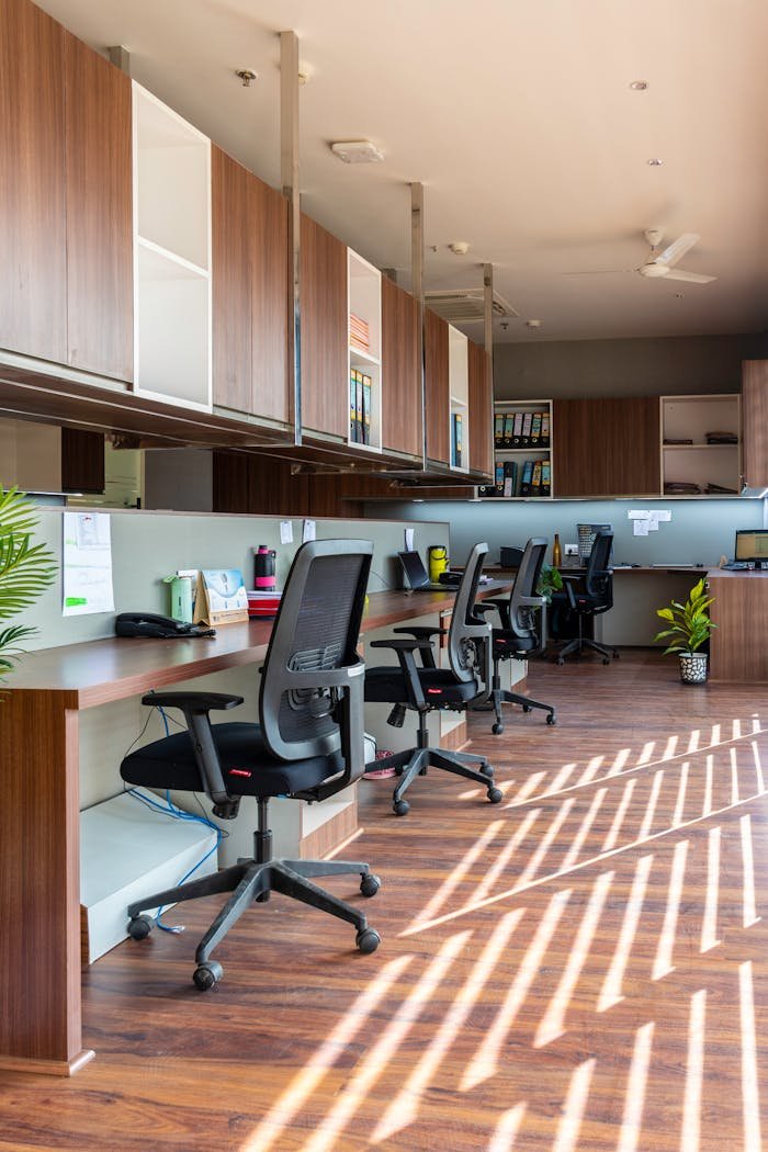 Bright and spacious open office with wooden desks and chairs under natural light. Ideal for creative workspaces.